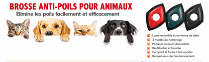 ✨️Brosse Anti-Poils Réutilisable pour Chien, Chat,Tapis de Voiture✨️